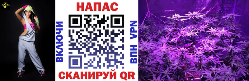 Где можно купить наркотики Подпорожье СК  мега ссылка  ТГК  Гашиш  МДМА  МЕФ 