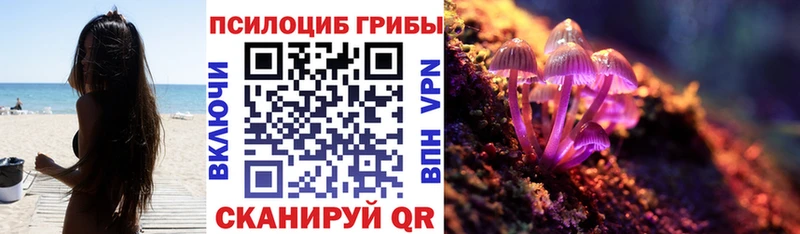 где можно купить наркотик  kraken как войти  Псилоцибиновые грибы мухоморы  Подпорожье 